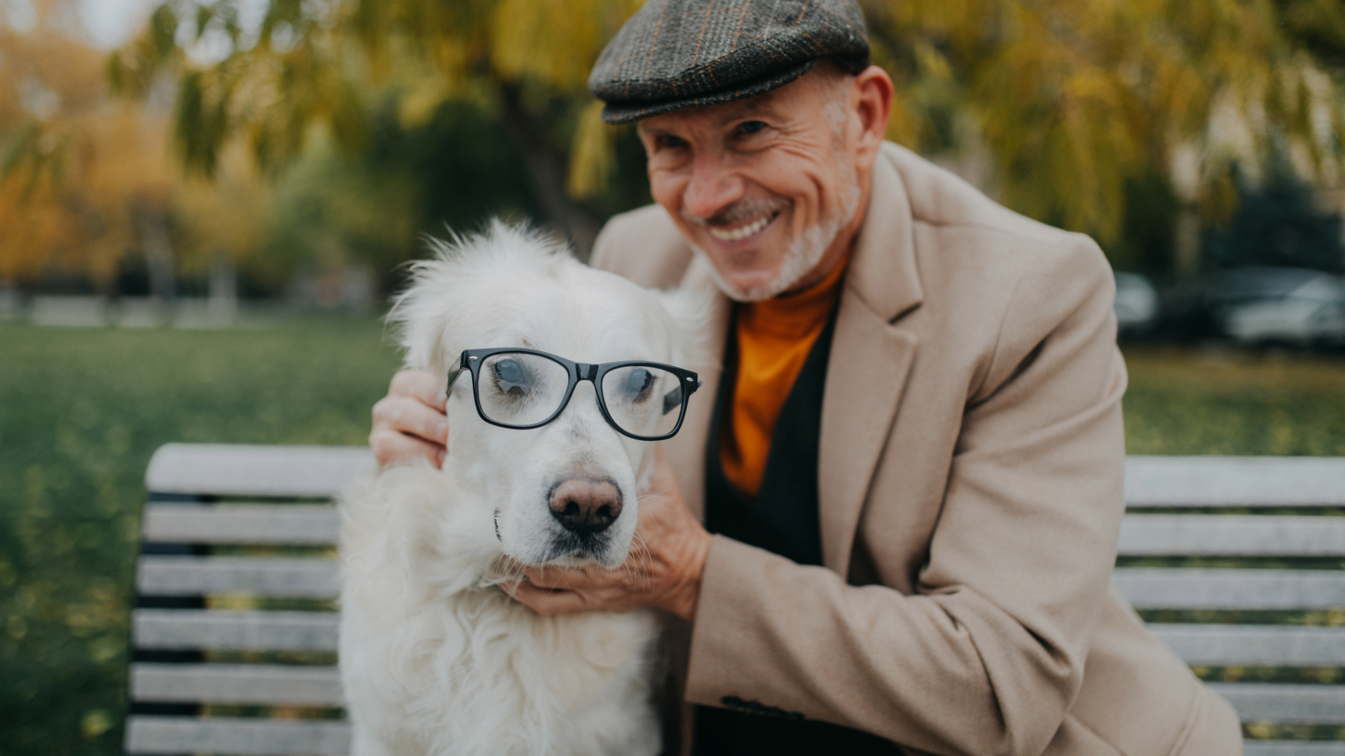 Pet Passages Franchise